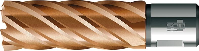 BDS | Kärnborr HSS Vario Plus 12x55mm, KBL | 4250187503474