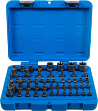 Sats med bits-insatser och hylsnyckelinsatser | E-profil / T-profil (för Torx) / T-profil (för Torx) med borrhål / TP-profil (för Torx Plus) | 52 delar