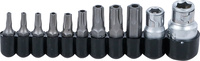 Bit-sats | Yttre sexkant 6,3 mm (1/4") / 10 mm (3/8") | T-Profil (för Torx) med borrning | 11 delar