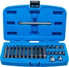 Bit-sats | Yttre sexkant 10 mm (3/8") | Kil-profil (för Ribe) | 22 delar