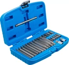 Bit-sats | Yttre sexkant 10 mm (3/8") | Kil-profil (för Ribe) | 22 delar