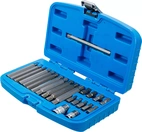 Bit-sats | Yttre sexkant 10 mm (3/8") | Kil-profil (för Ribe) | 22 delar