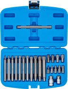 Bit-sats | Yttre sexkant 10 mm (3/8") | Kil-profil (för Ribe) | 22 delar