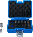Bit-sats | TS-profil (för Torx Plus) | 23 delar
