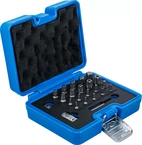 Bit-sats | TS-profil (för Torx Plus) | 23 delar