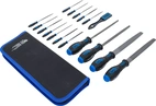 Verkstads- och nålfilssats | 17 delar