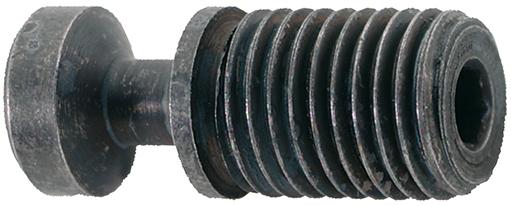 Spännskruv för S32S M8X21 T15 (10st)