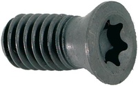 Spännskruv M2,5X5 T08 (10st)