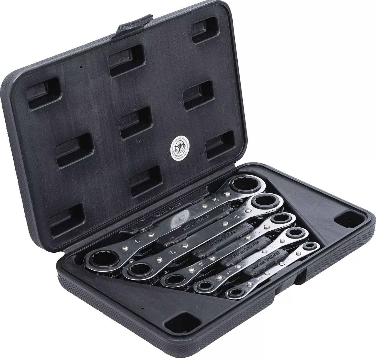 Spärr-ringnyckel-sats, rak, med omkastare | 6 x 8 - 19 x 22 mm | 5 delar