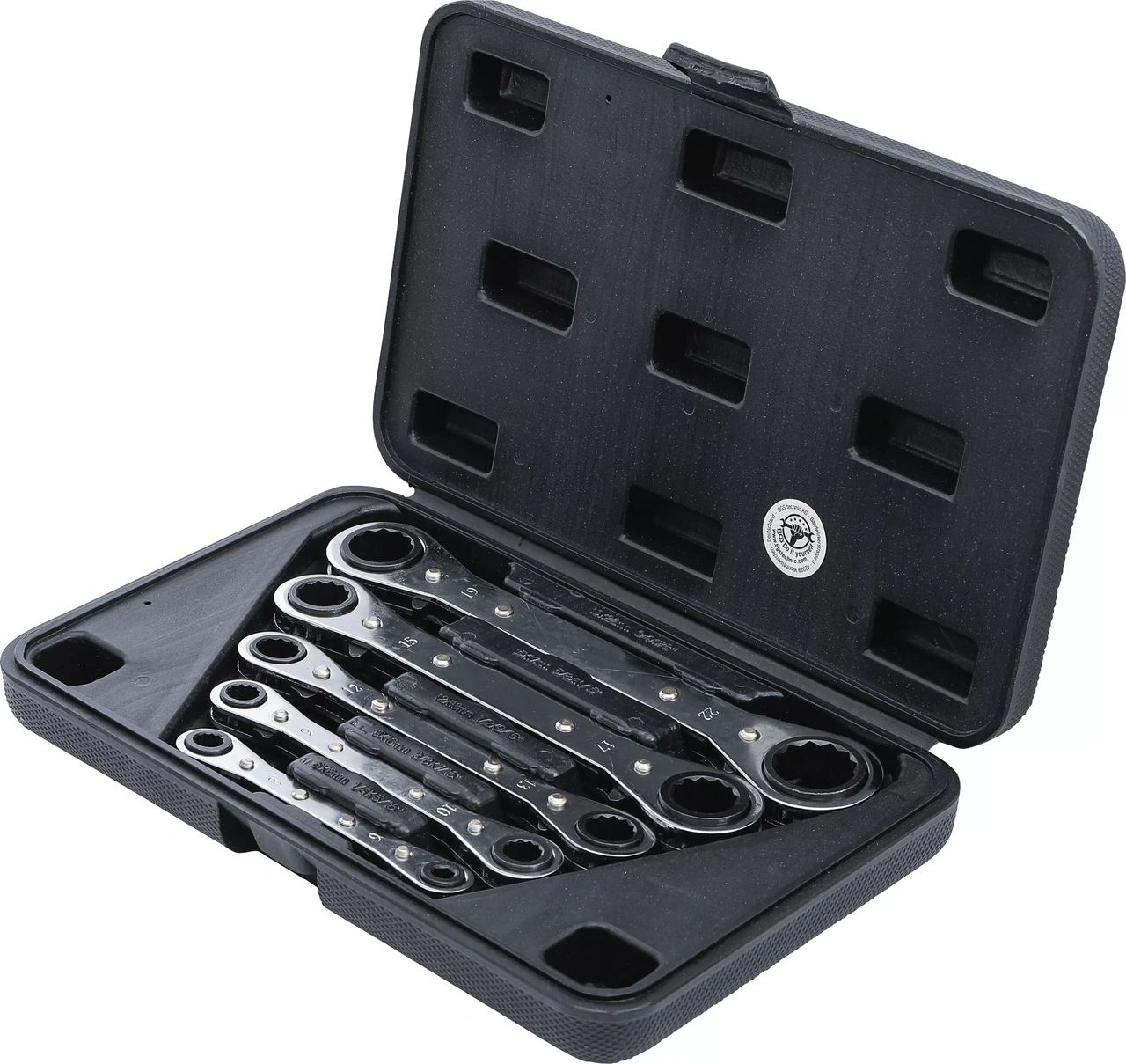 Spärr-ringnyckel-sats, rak, med omkastare | 6 x 8 - 19 x 22 mm | 5 delar