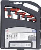 Skruvmejselsats med T-handtag och klinga på sidan | Inre sexkant / T-Profil (för Torx) 16 delar