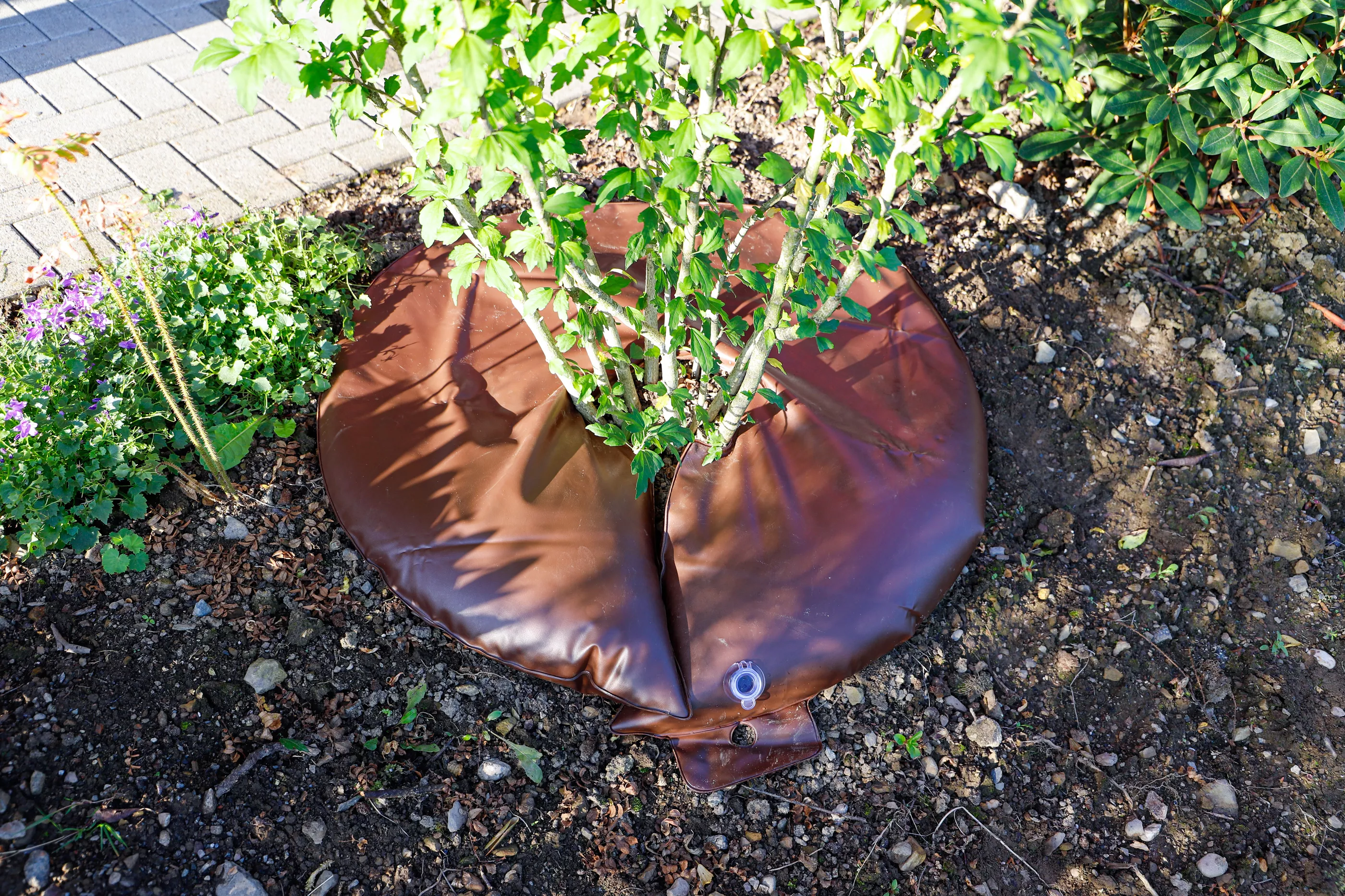 Bevattningsring | 55 l