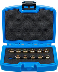 Injektor-förslutningsplugg-sats | 12 delar