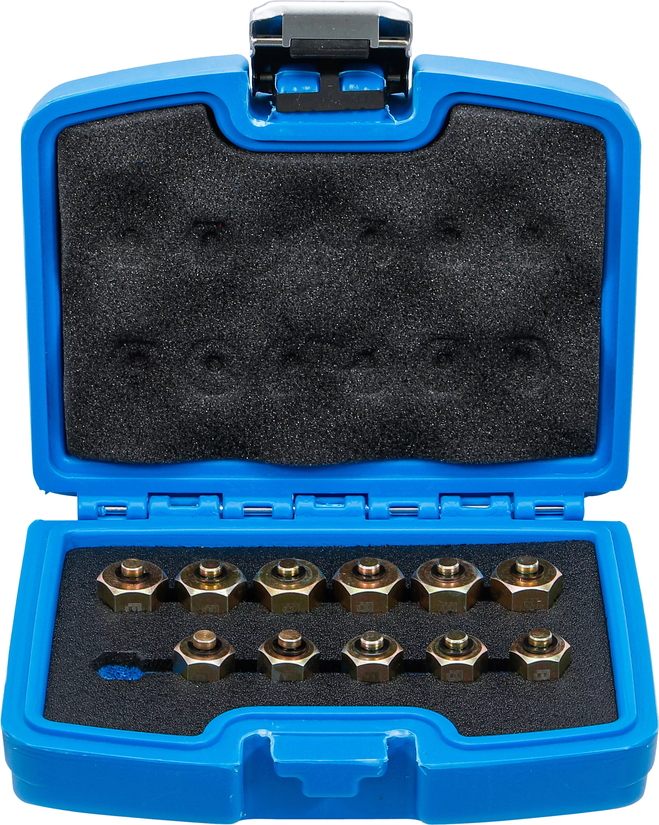 Injektor-förslutningsplugg-sats | 12 delar