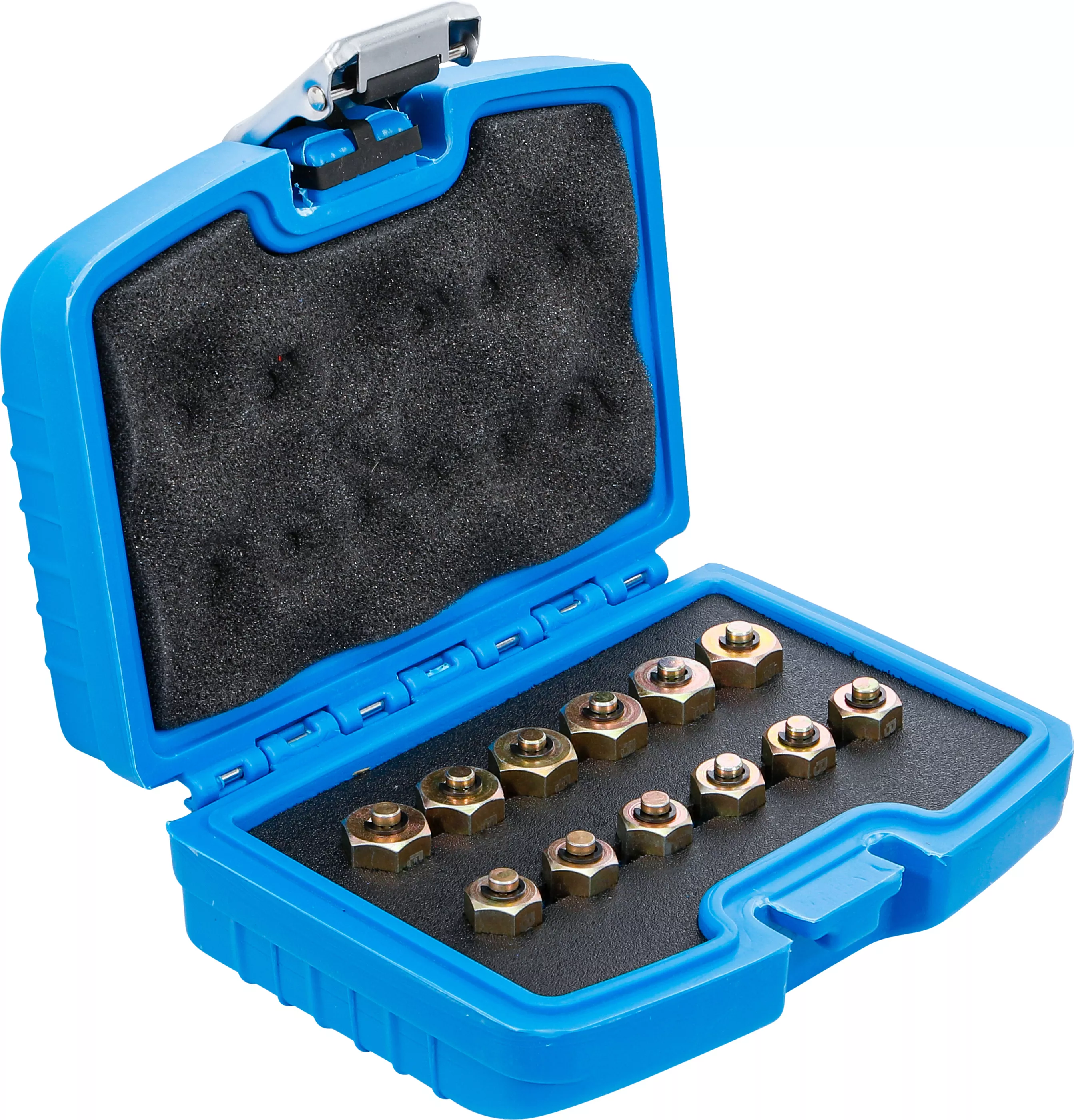 Injektor-förslutningsplugg-sats | 12 delar