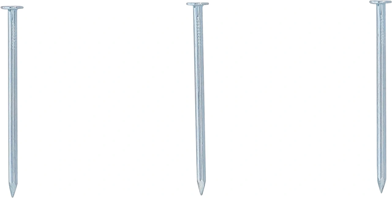Spiksortiment | 200 g | 2,5 x 50 mm
