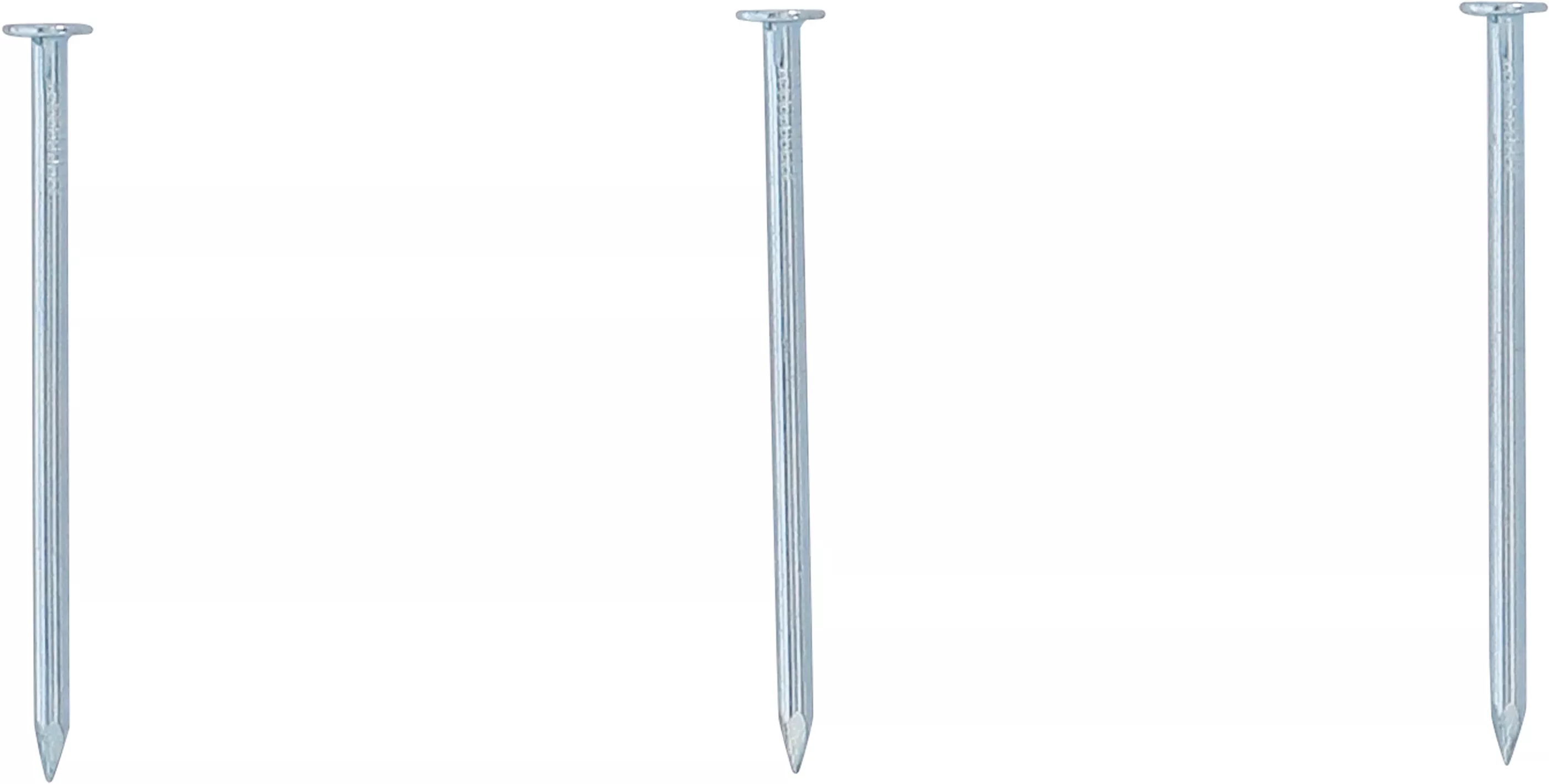 Spiksortiment | 200 g | 2,5 x 50 mm