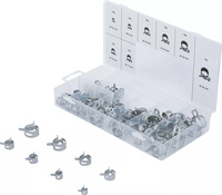 Fjäderband-Slangklämmor-Sortiment | 80 delar