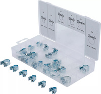 Slangklämmor-sortiment | Ø 6 - 16 mm | 30 delar