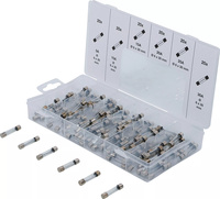 Glasrörssäkring-sortiment | 120 delar