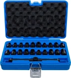 Oljetråg-Special-Insats-sats | 10 mm (3/8") | 21 delar