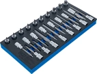 Verkstadsvagninlägg 1/3: Bit-Insats-sats | T-profil (för Torx) | 26 delar