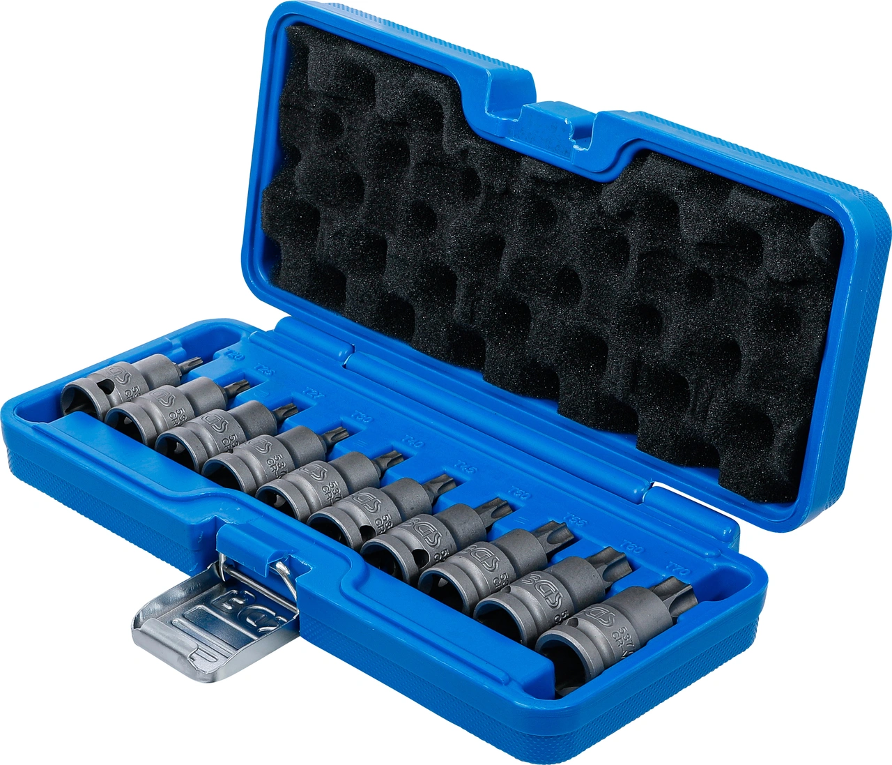 Kraft-Bit-Insats-sats | 12,5 mm (1/2") | T-Profil (för Torx) T20 - T70 | 10 delar