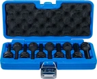 Kraft-Bit-Insats-sats | 12,5 mm (1/2") | Kil-profil (för Ribe) M5 - M14 | 9 delar