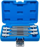 Bit-Insats-sats | 12,5 mm (1/2") | Inre sexkant med kulhuvud 5 - 12 mm | 6 delar
