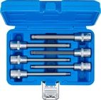 Bit-Insats-sats | 12,5 mm (1/2") | Inre sexkant med kulhuvud 5 - 12 mm | 6 delar