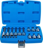 Bit-Insats-sats | 6,3 mm (1/4") / 12,5 mm (1/2") | Inre sexkant | 18 delar