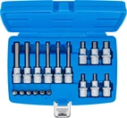 Bit-Insats-sats | 6,3 mm (1/4") / 12,5 mm (1/2") | Inre sexkant | 18 delar