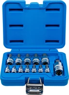 Bit-Insats-sats | 6,3 mm (1/4") / 10 mm (3/8") / 12,5 mm (1/2") | Inre sexkant 2 - 14 mm | 13 delar