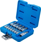 Bit-Insats-sats | 6,3 mm (1/4") / 10 mm (3/8") / 12,5 mm (1/2") | Inre sexkant 2 - 14 mm | 13 delar