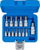 Bit-Insats-sats | 6,3 mm (1/4") / 10 mm (3/8") / 12,5 mm (1/2") | Inre sexkant 2 - 14 mm | 13 delar
