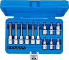 Bit-Insats-sats | 6,3 mm (1/4") / 12,5 mm (1/2") | T-Profil (för Torx) | 18 delar