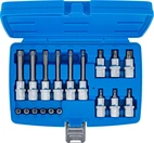 Bit-Insats-sats | 6,3 mm (1/4") / 12,5 mm (1/2") | T-Profil (för Torx) med hål | 18 delar