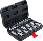 Bit-Insats-/hylsnyckel-sats | Inre sexkant 12,5 mm (1/2") | T-Profil (för Torx) / E-Profil | 19 delar