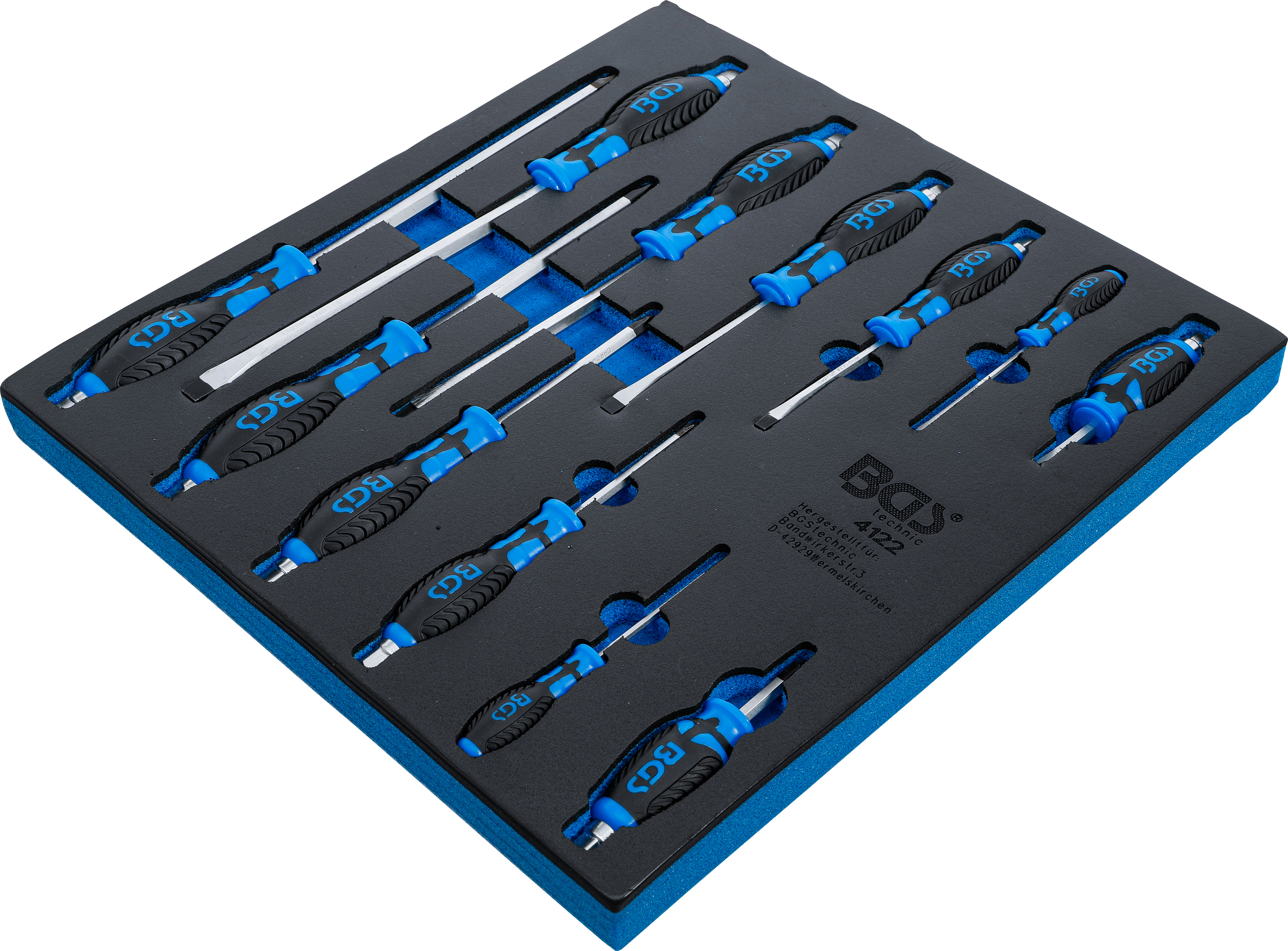 Verkstadsvagninlägg 2/3: Skruvmejsel-sats | 12 delar