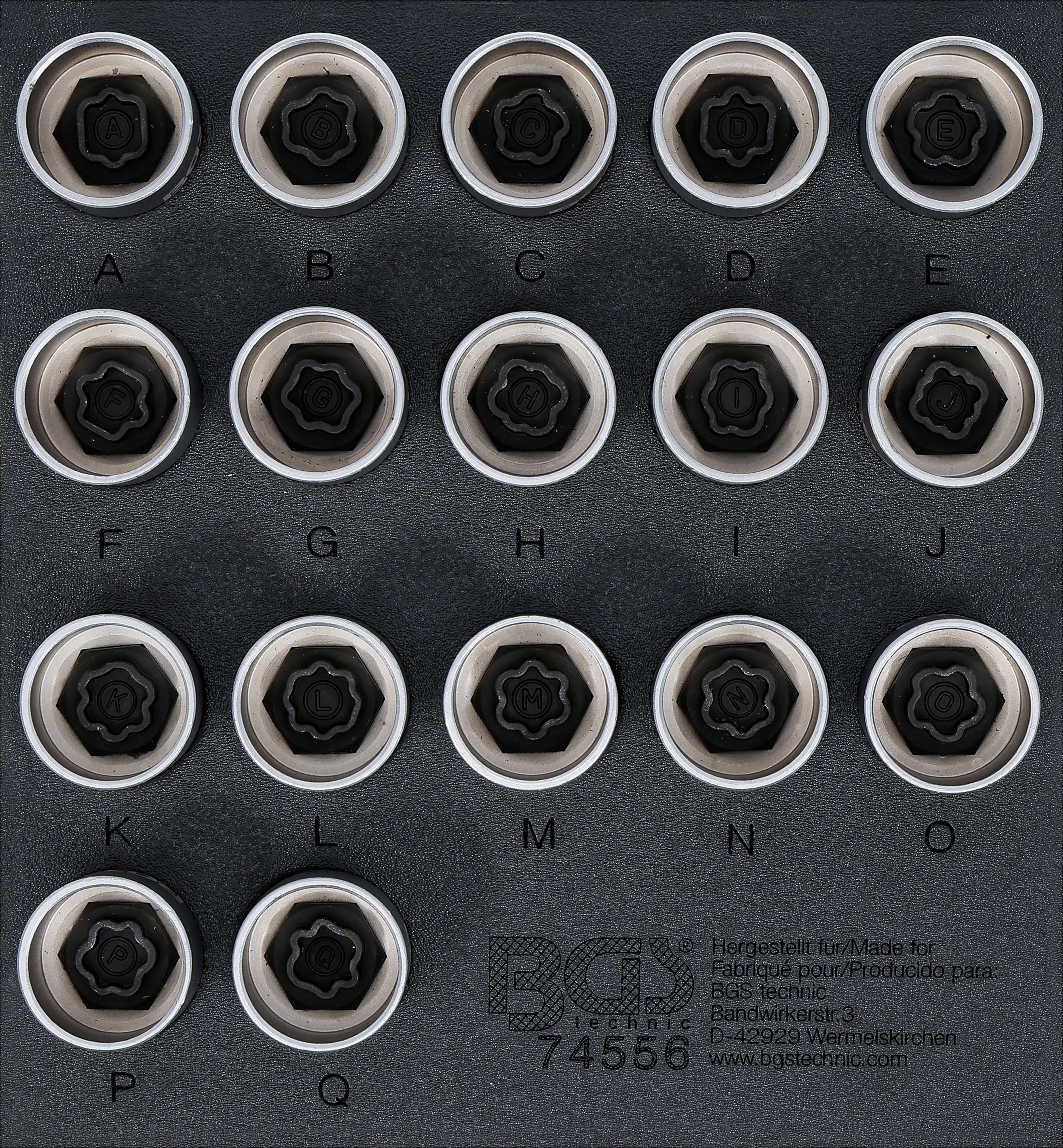 Verkstadsvagninlägg 1/6: Fälglås-Verktyg-sats för Land Rover | 17 delar