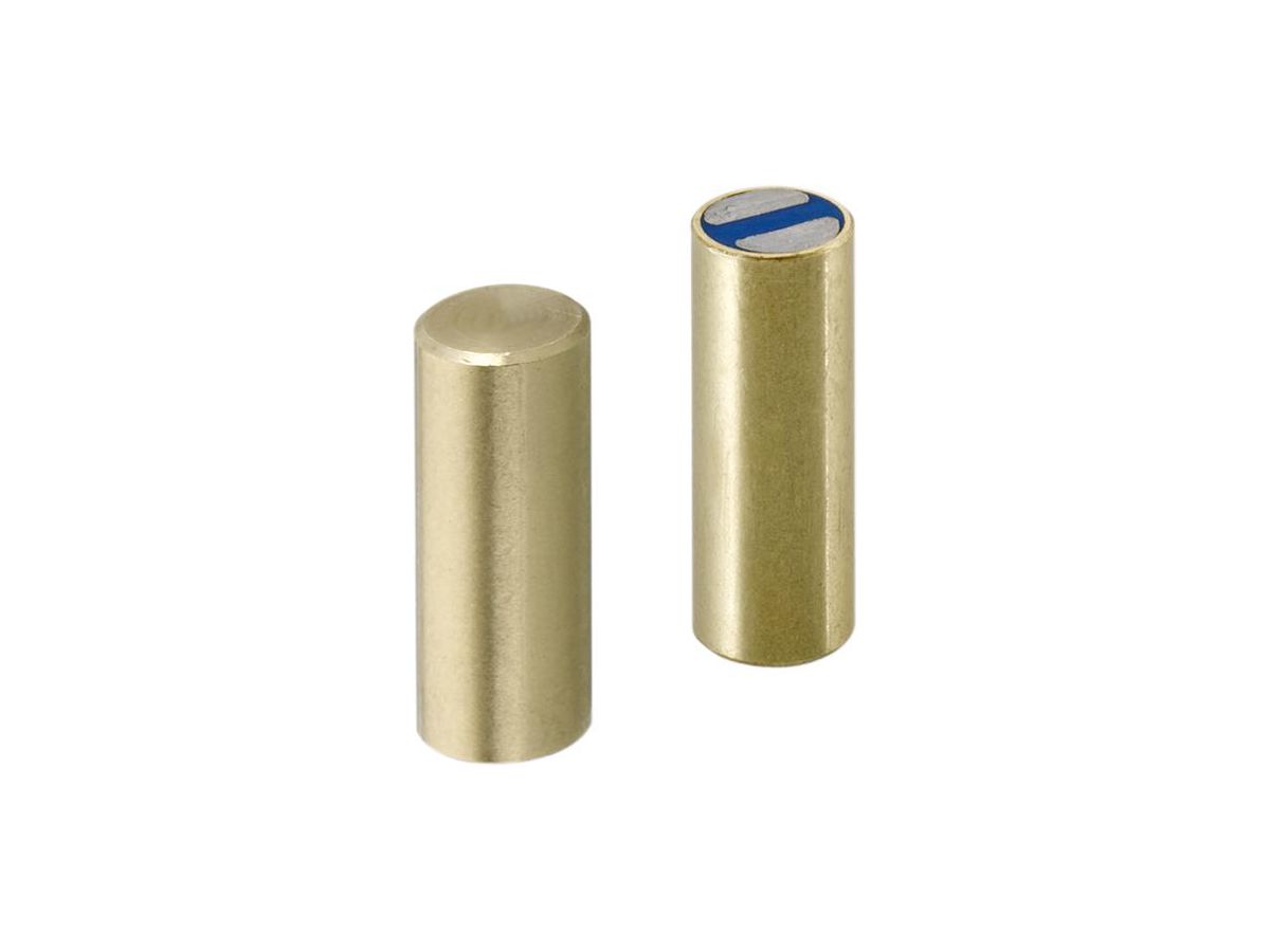 Stavmagnet SmCo ⌀10x20mm