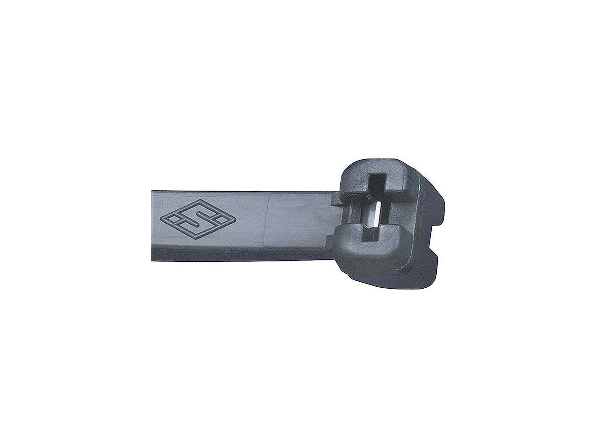 Buntband Nylon svart m. stållås 2,5x100mm, (100 st)