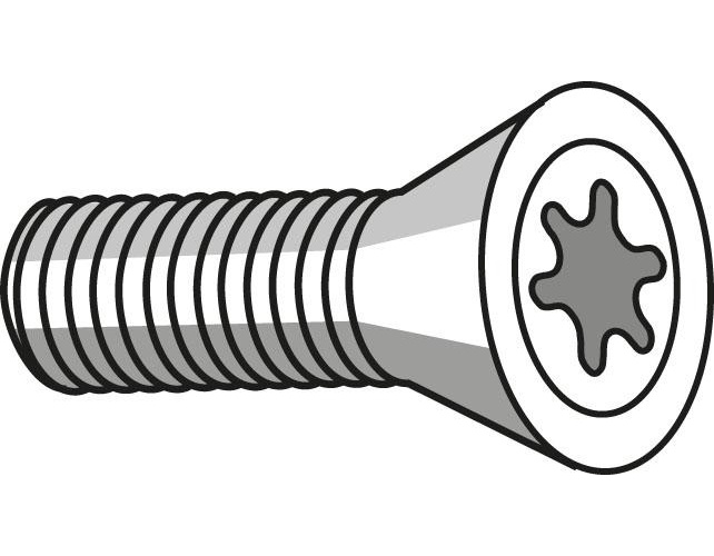 Torxskruv US 2506-TP07 (10st)