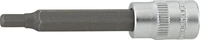 Hylsa 1/4" Insex 4x60mm