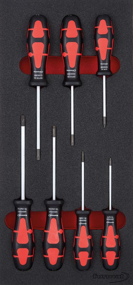 Verktygsinsats Torx Skruvmejslar 1/3